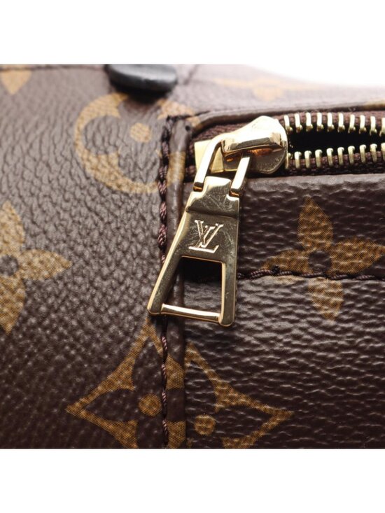 Louis Vuitton Backpack Palm Spring Mini Monogram Canvas Leather